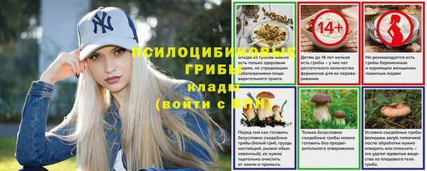 МДМА Алексеевка