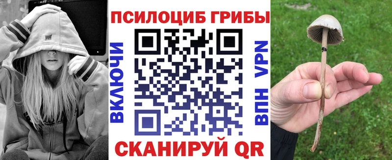 сайты даркнета какой сайт  Куровское  Галлюциногенные грибы ЛСД 